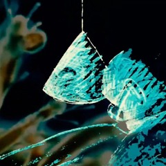 learned a lot from listening ft. blunt_rolla