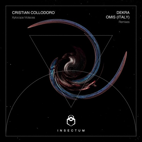 Cristian Collodoro - Xylocopa Violacea (Dekra Remix)[Insectum Records]