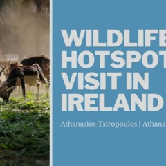 Wildlife Hotspots To Visit In Ireland | Athanasios Tsiropoulos