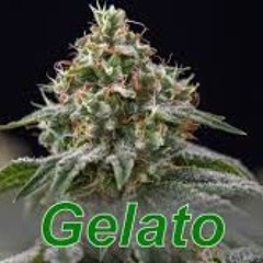 LA GELATO - Clave760