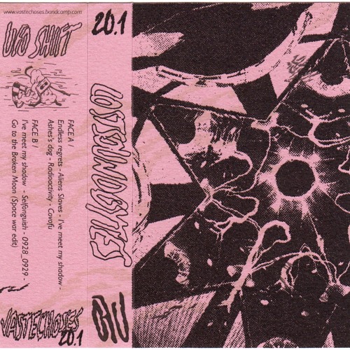VASTECHOSES - 20.1 - LOSTSOUNDBYTES - UFO SHIFT - Snippets