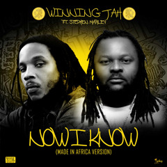 Now I Know (Made in Africa Version) [feat. Stephen Marley]