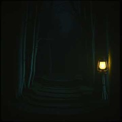 Carry The Light