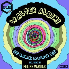 Walter Albini - Upside Down (Original Mix) Snippet
