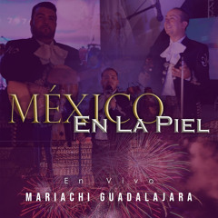 México En La Piel (Live)