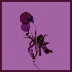 Premiere CF: Alg0rh1tm - Induced Ascension [Teorema by Diffuse Reality Records]