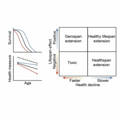 The Coupling Between Healthspan and Lifespan in Caenorhabditis Depends on…