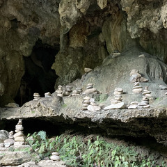 Austral w/ AYLU - Colombia Special 040324