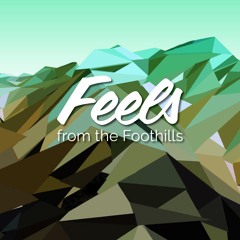 Feels From The Foothills - Side B2 - Golden Summer Mix [Progressive House Mix]