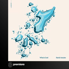 Premiere: Hardt Antoine - Too Late - Labyrinth Records