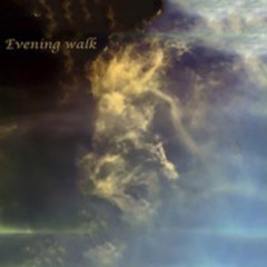 Evening Walk