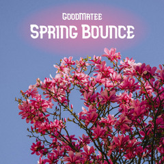 Spring Bounce