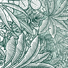 Wicked Expectation - The Maze (nowfeel remix)