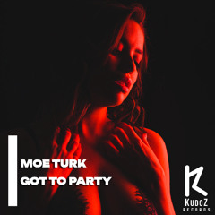 Moe Turk - Got To Party