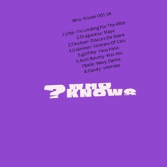 Utip-I'm Looking For The After