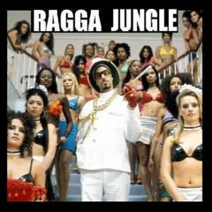 Vol.22 Ragga Jungle DJ K.M.L IN DA MIX
