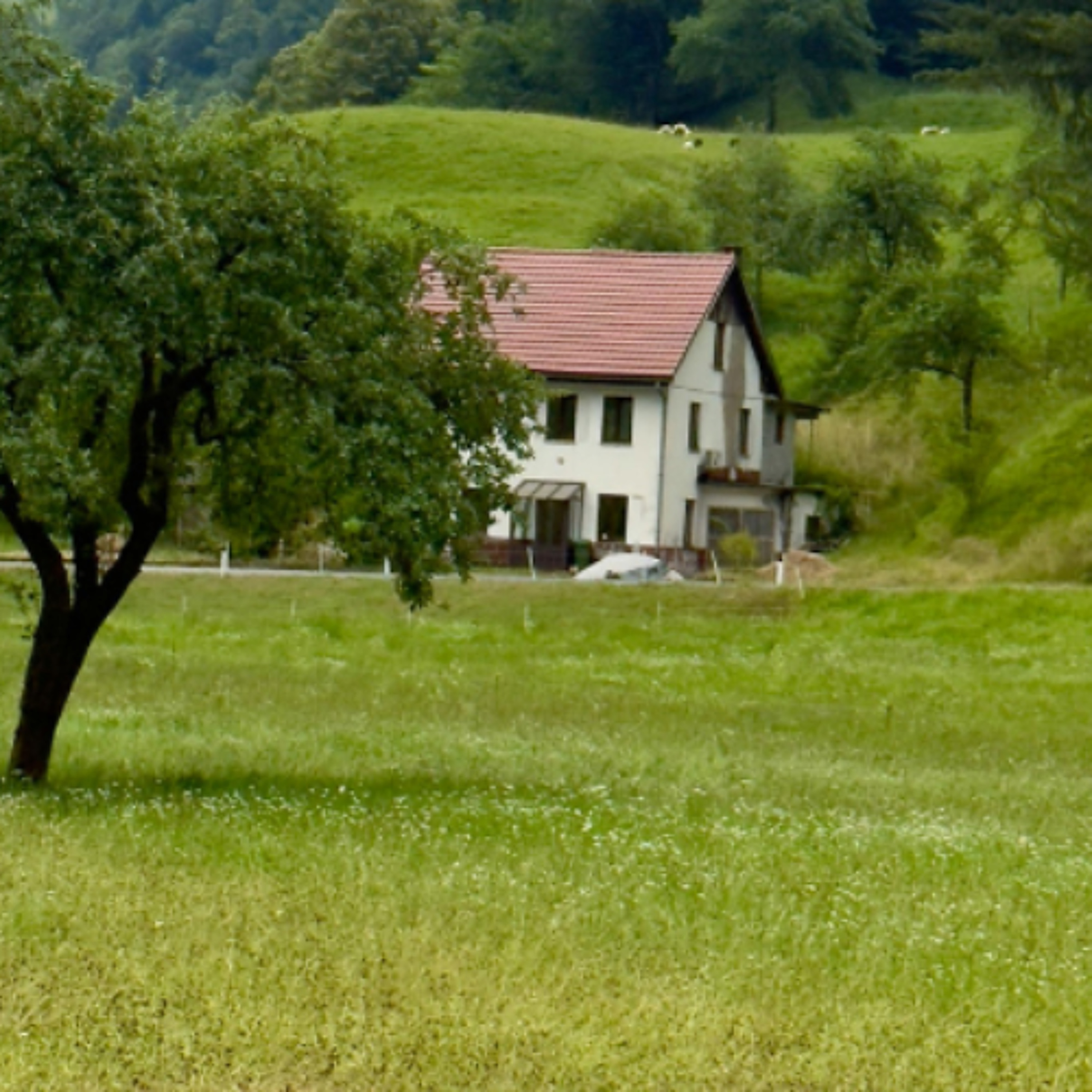 Major Rural Housing Reform Planned As Government Signals Shift In Planning Rules
