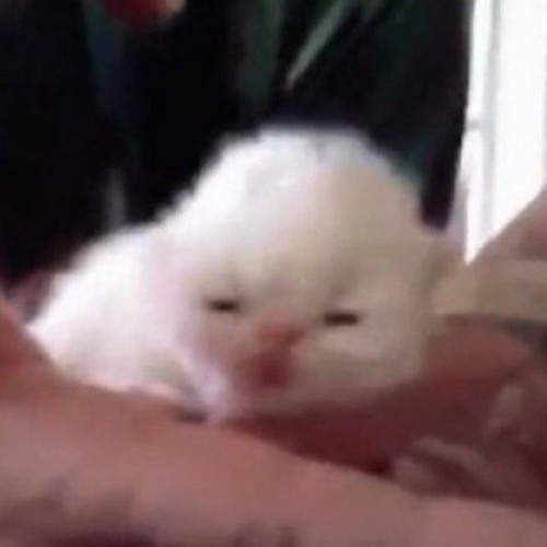 YOU CANT STOP THE RAIN