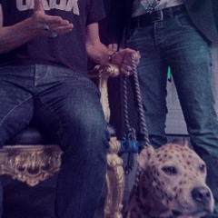 CANEPARDO/30 sec/AeJD