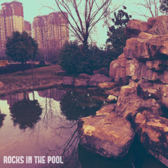 Rocks in the Pool
