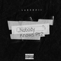 Nobody knows Pt. 2
