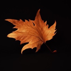 Falling Leaf (prod. intensya)