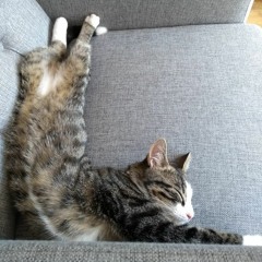 Smokey Robinson & The Miracles - Much Better Off (EXILE remix)