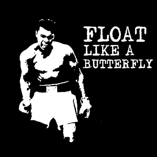 Float Like a Butterfly [M. Dottz x Hennedy]