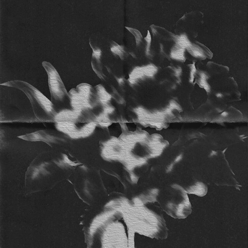 Pharmakon Kabinet w/ Stefhanja  28-02-2024
