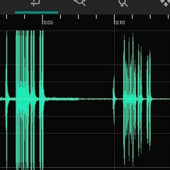 ZOOM H1e Essential - Cetti's Warbler clipped - recovered with 32-bit float recording