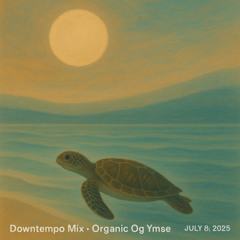 Downtempo Mix - Organic og ymse snacks