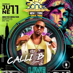 Dj CalliB LIVE AT SANDZ(POWERED BY WILD THINGS FAMILY SOUND)