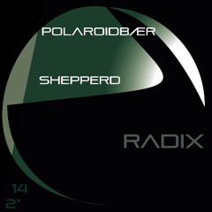 Radix