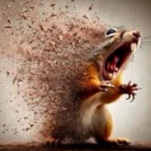 song that if uh if it uhh ow- OW- STOP IT HURTS!!!! AHHHHH!!!!!