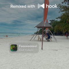 Cash Cobain - Feeeeeeeeel (@bethrebs Hook Remix)
