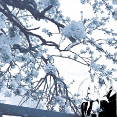 YOKAI KAGE - I Would Like To Die This Winter