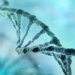 RDRZ- Bio Template