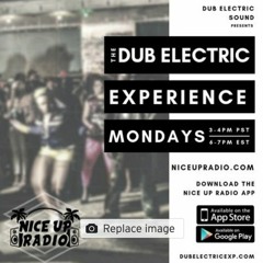 Nice Up Radio - Dub Electric Experience Show - 01-11-2021
