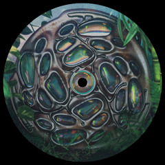 Shjva - Nebulogy
