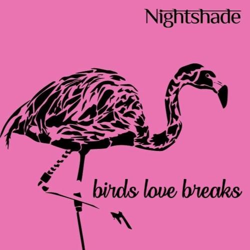 Birds Love Breaks!
