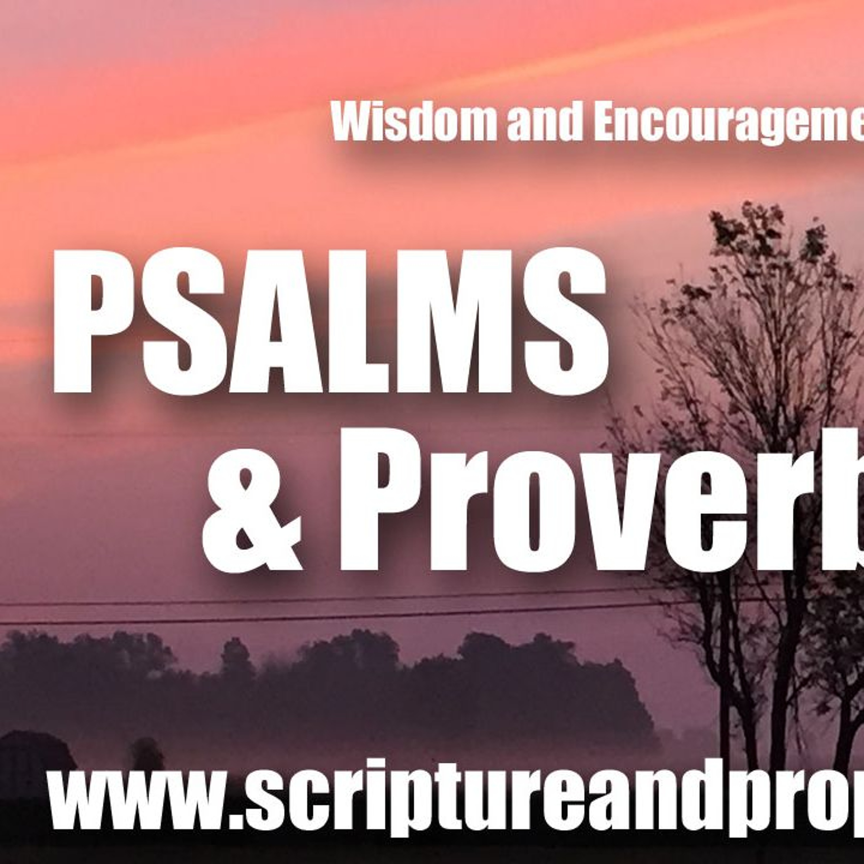 Scripture & Prophecy - Weekly Bible Studies