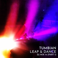 Leap & Dance Mix 14 (part 1)