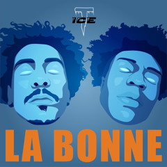 T-ICE (Wiss&Mingo) | La bonne