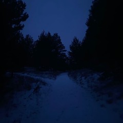 winter depression ; playlist.