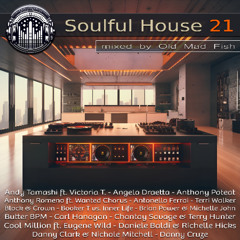 Soulful House 21