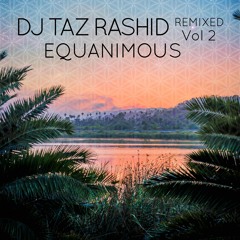 Gold Flow (Equanimous Remix)