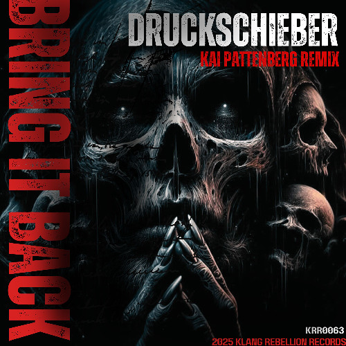 Druckschieber - Bring it back (Kai Pattenberg Remix) Snipped
