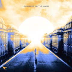 Sunshine In The Rain