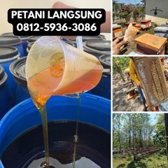 Jual Madu Asli Hutan dan Ternak Terdekat, 0812-5936-3086