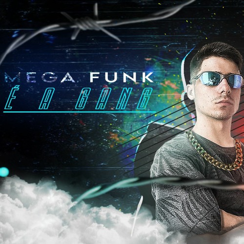 MEGA FUNK É A GANG - DJ LUIZ FELIPE SC (FEVEREIRO 2021)